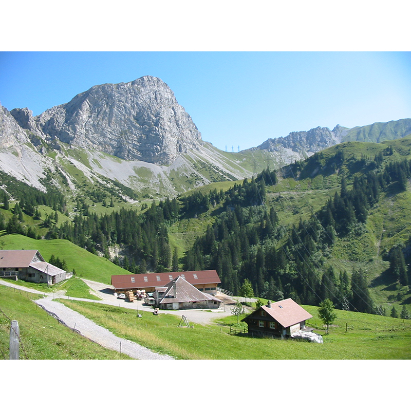 Bergheu-Berge-Alpenheu-Alpen-Traditionell-Kissen-Duft-Swiss-Sofa-3