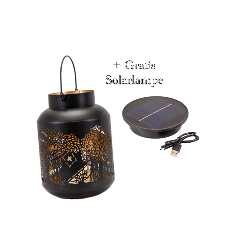 Solarlampe-klein-Bergchilbi-Laternen-Deko-Rund-schwarz-Ø12.6cm-Kadastar-Swiss-1